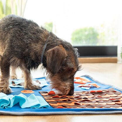 Snuffelmat voor honden - Speelmat - Afbeelding 4