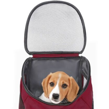 Ceruzo Hondenrugzak - voor Katten en Honden tot max 10 KG - Rood - Afbeelding 2