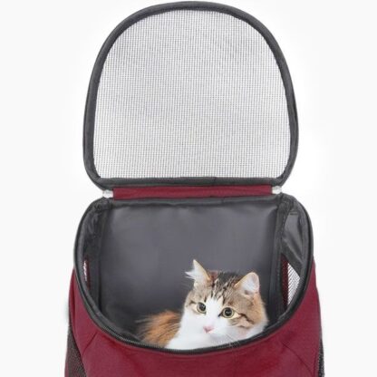 Ceruzo Hondenrugzak - voor Katten en Honden tot max 10 KG - Rood - Afbeelding 3